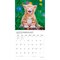 Plato; Kitten Cuddles | 2027 12 x 24 Inch (Hanging) Monthly Square Wall Calendar | Foil Stamped Cover; Category:Wall Calendars; Image:5